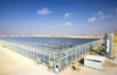 The solar enhanced oil recovery project at the Amal West oilfield