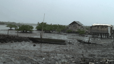 The Niger Delta devastated by an oil spill