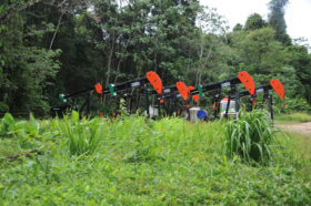 LGO hits oil pay in Trinidad