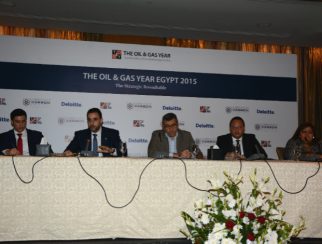 Egypt 2015 Strategic Roundtable
