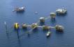 Pemex suspends deepwater exploration projects