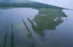 Judge dismisses lawsuit against oil and gas companies in Louisiana