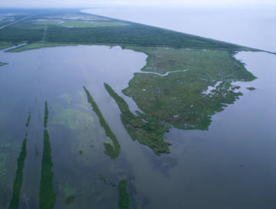 Oil and gas companies will not have to pay for environmental damage to Louisiana's coastal wetlands.