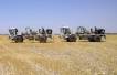 Gazprom plans seismic study at Halabja