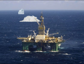 New discovery in the Falkland Islands