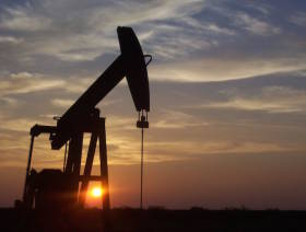 Swala extends Tanzania licence