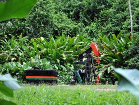 LGO strikes oil in Goudron