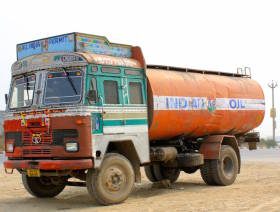 India puts fields up for auction