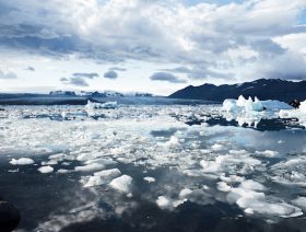 Top executives agree on climate change
