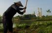 Indonesia looks downstream for way out