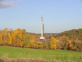 New Gulf Resources files for bankruptcy