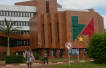 Cameroon oil and gas income jumps