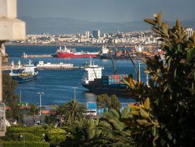 Algeria to issue local debt