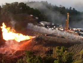Total, Oil Search bow out
