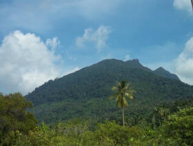 Pertamina talks East Natuna after financial boost