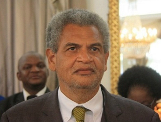 Mozambique energy minister fired