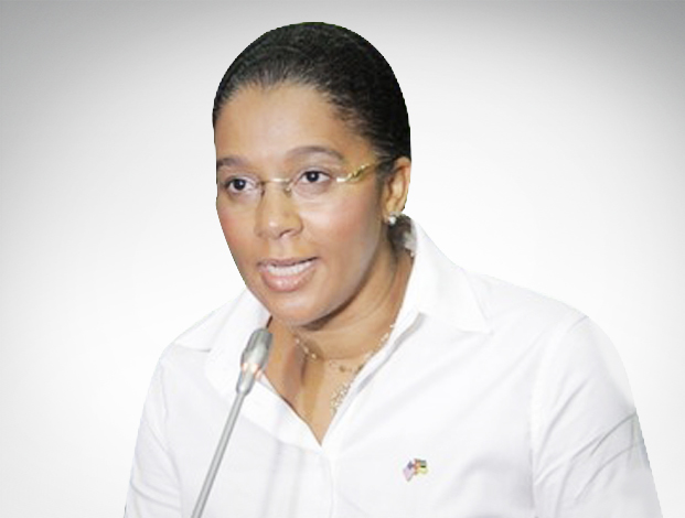 Mozambique appoints new energy minister