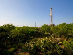 ECB economic outlook takes toll on oil prices