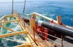 Iran-Oman pipeline to launch by 2020
