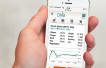 DNB follows ING in selling pipeline loan