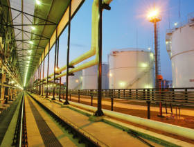 Vitol reports drop in turnover