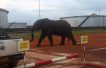 Shell drops Gabon onshore assets