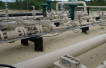 Wentworth reports East Africa updates