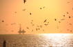Iran reports offshore gas find