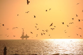 Iran reports offshore gas find