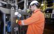 Oil continues mild rebound