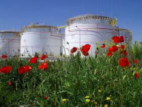 Poland eyes merging refiners