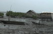 UK court lets Nigeria Shell case continue