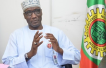 Nigeria appoints new OPEC rep