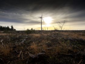 Ineos plans Europe’s largest green carbon investment