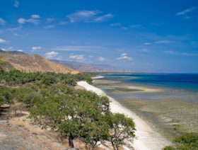 Timor-Leste concludes oil and gas licensing round