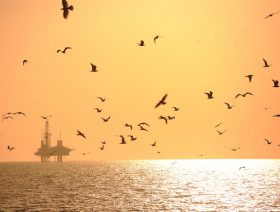 Chevron greenlights Gulf of Mexico project
