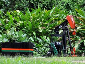 Trinidad and Tobago launches oil and gas bid round