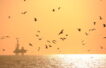 McDermott lands FEED contract in Trinidad