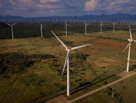 In Mexico, woman who promised shift to renewables elected president