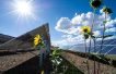 USA building solar arrays on former nuclear testing sites