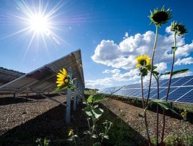USA building solar arrays on former nuclear testing sites