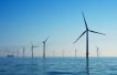 TotalEnergies takes 50% stake in Dutch wind farm