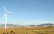 EIB and Deutsche Bank ink deal to back wind projects