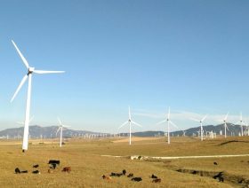 EIB and Deutsche Bank ink deal to back wind projects