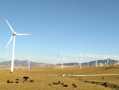 EIB-and-Deutsche-Bank-ink-deal-to-back-wind-projects
