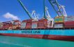 Maersk signs long-term biomethanol deal with Chinese player