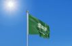 TotalEnergies eyes sustainable aviation fuel partnership in Saudi Arabia
