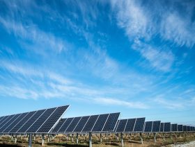 EDF to develop 1.4 GW of solar parks in Saudi Arabia