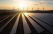 OQ and TotalEnergies to partner on Oman renewables projects