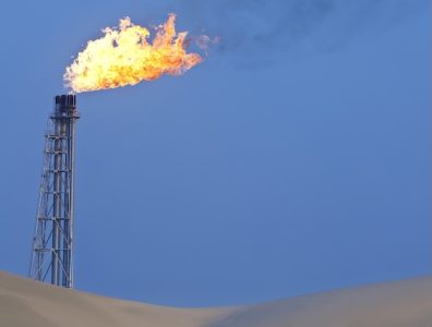 Wood-picked-by-TotalEnergies-for-Iraq-gas-project